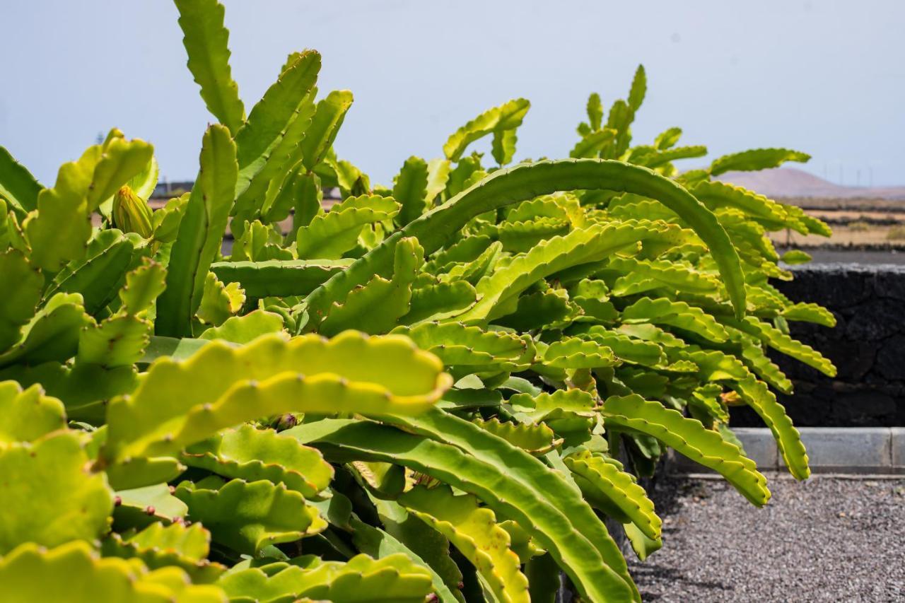 Eslanzarote Eco Dome Experience Hotel Teguise  Ngoại thất bức ảnh