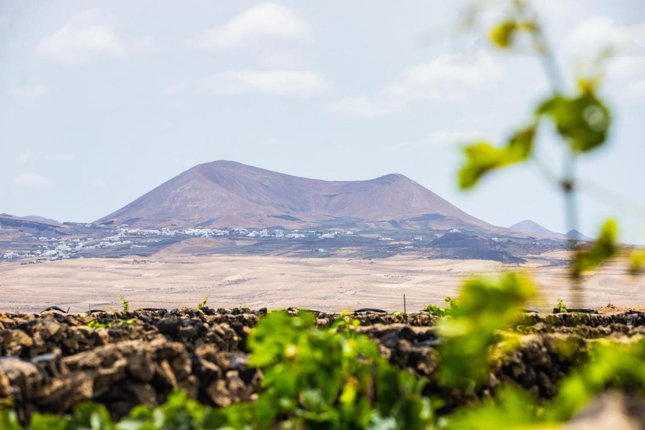 Eslanzarote Eco Dome Experience Hotel Teguise  Ngoại thất bức ảnh
